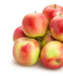 - file://fa0enrbvibl05vsalg: